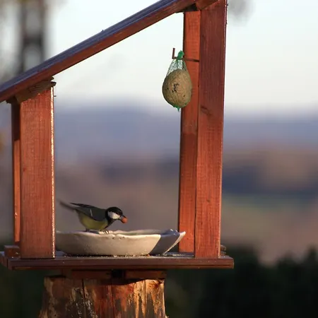 Дом отдыха The Waltz Of The Chickadees In Leuze *